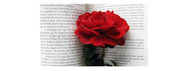 ELS PARES I MARES ESCRIPTORS, SIGNEN PER SANT JORDI